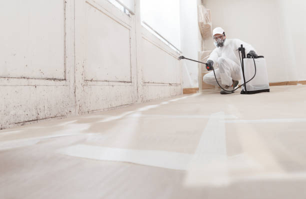 24/7 Emergency Attic Mold Removal experts in Newport News, VA