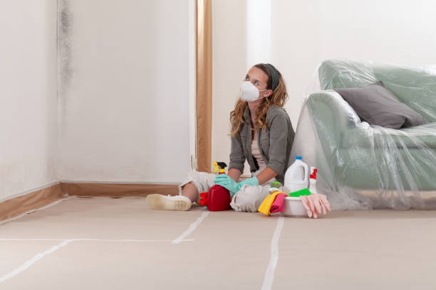 Reliable Attic Mold Removal contractor in Newport News, VA by WQB Mold Removal